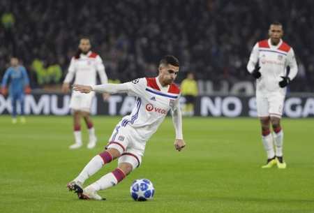 也不是毫无 也不是毫无