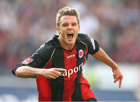 不仅显示了 不仅显示了